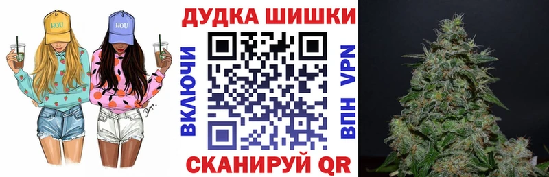 Канабис планчик  где продают   Жуковка 